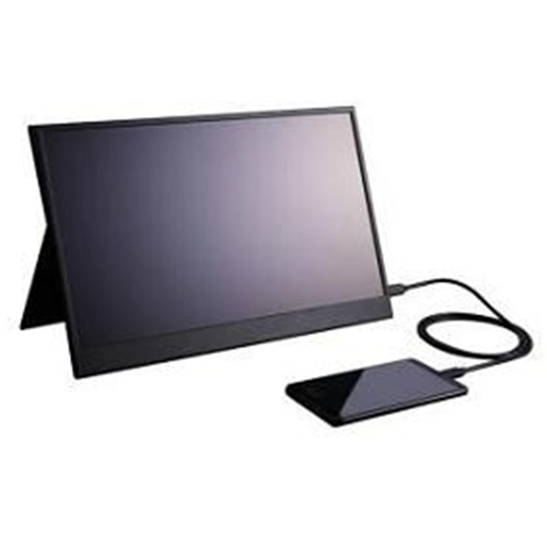 Portable LED monitor